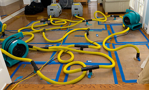 Professional Storm Water Damage Restoration technician working in Mesick, MI